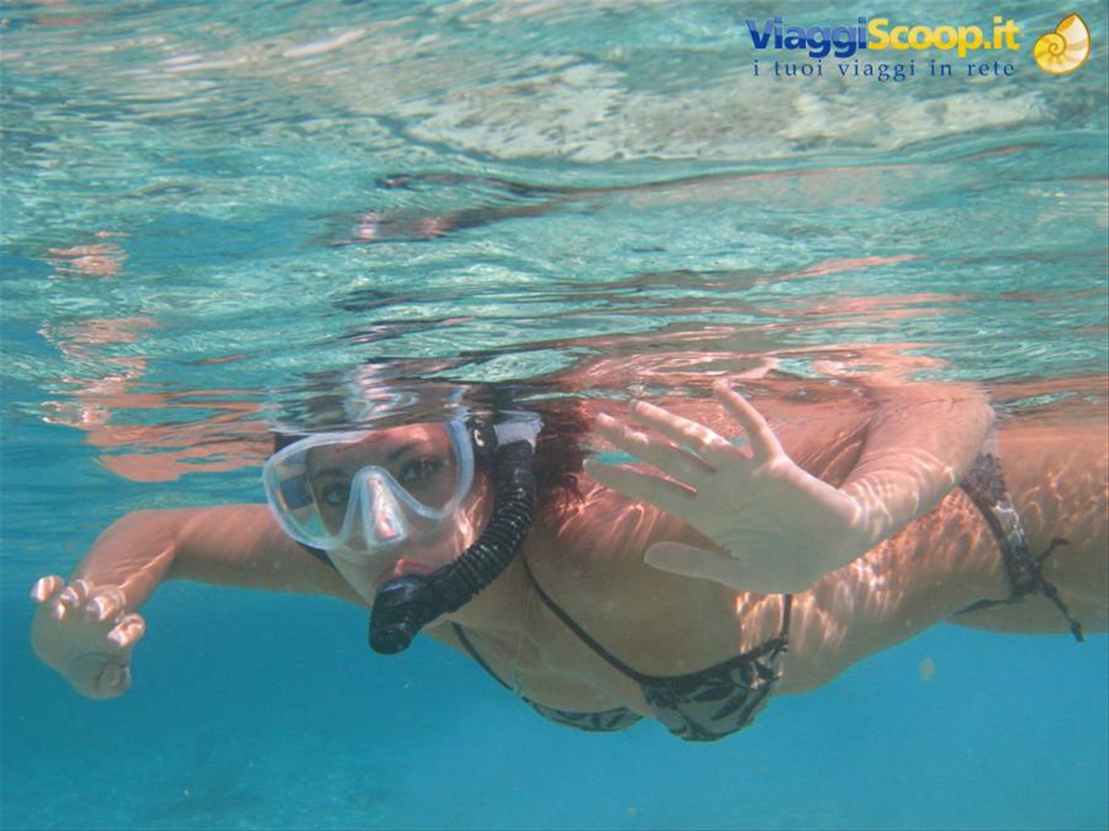 quasi 2 ore di snorkeling indimenticabile..