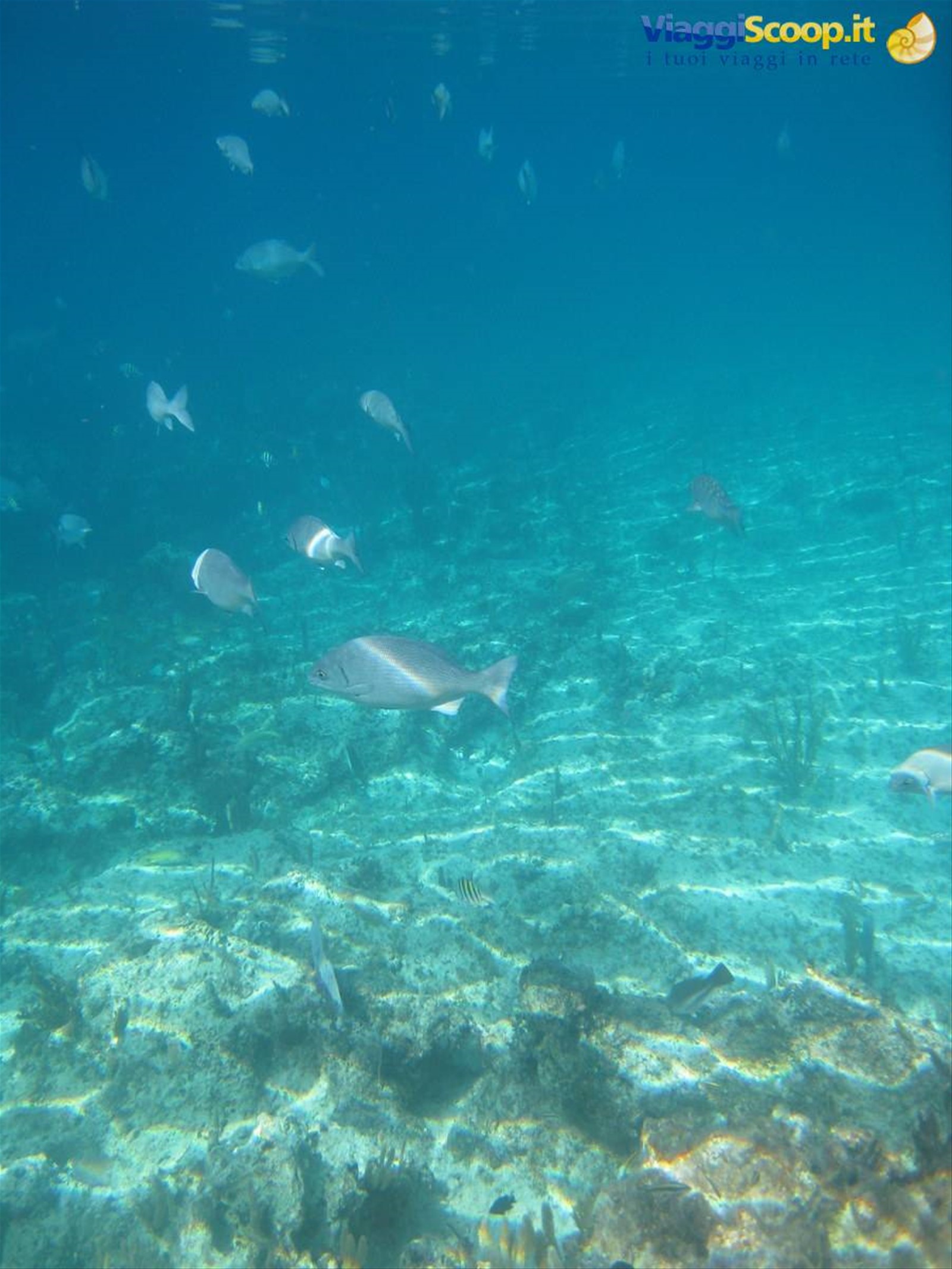 in fondo al mar