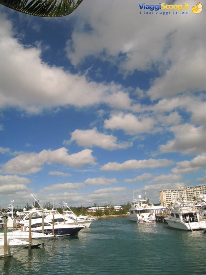 Port Lucaya