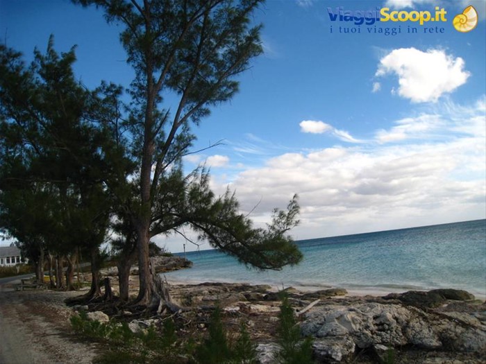 Fortuna  Beach