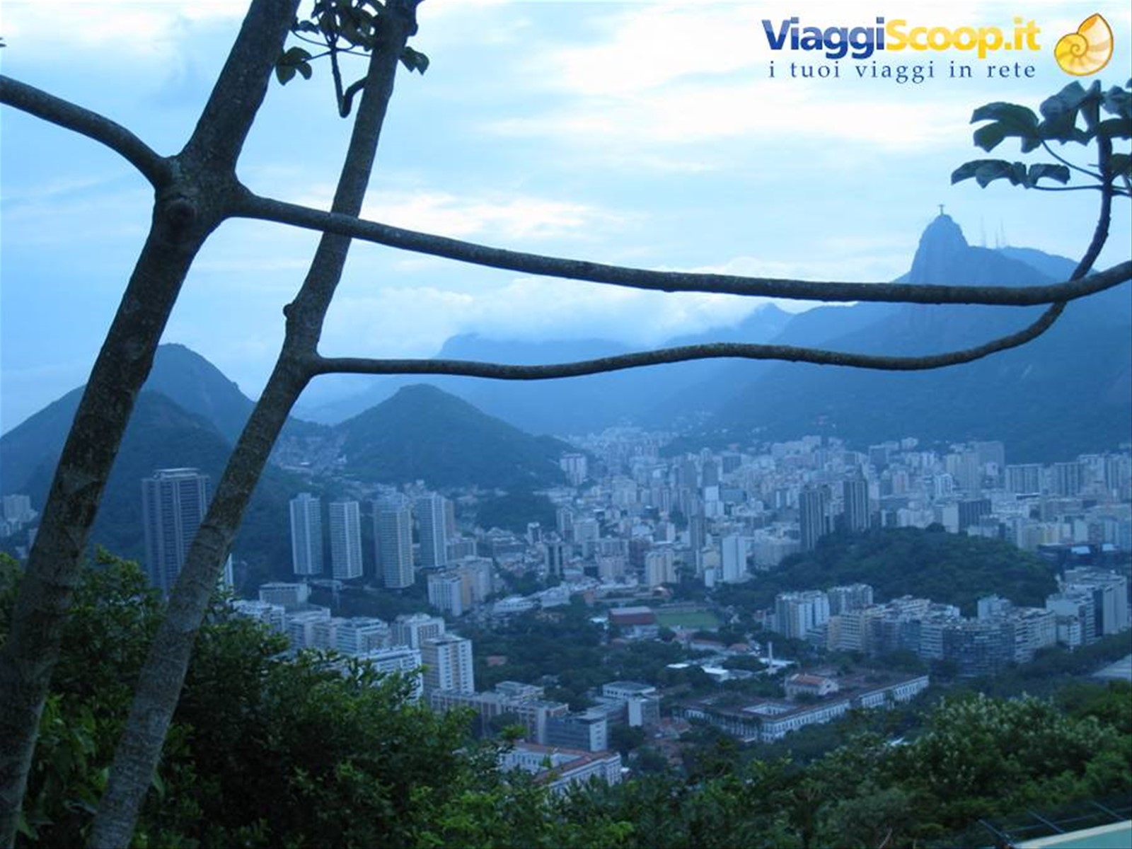 Vista