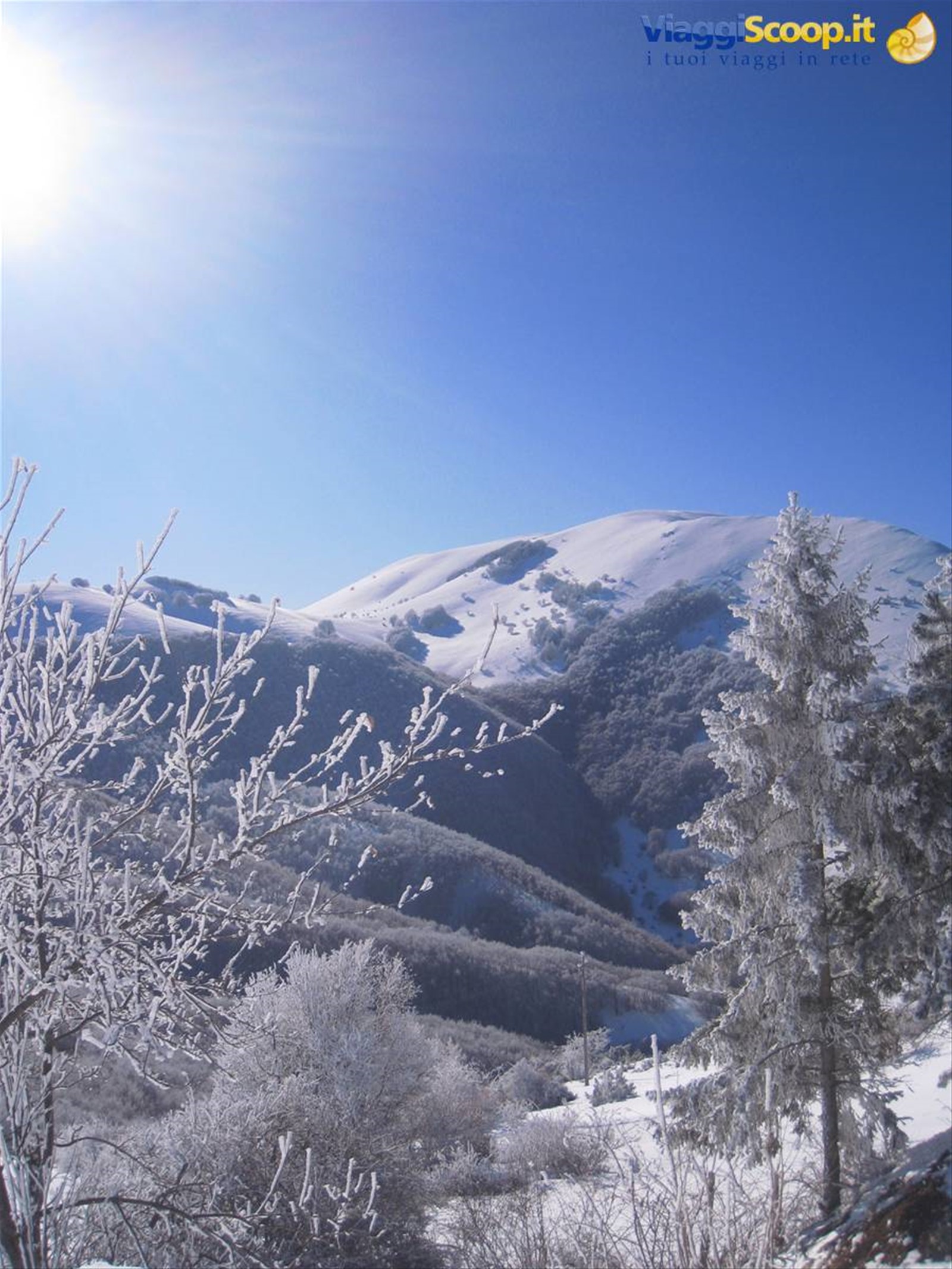 Forca Canapine