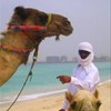 foto viaggio EMIRATI ARABI UNITI