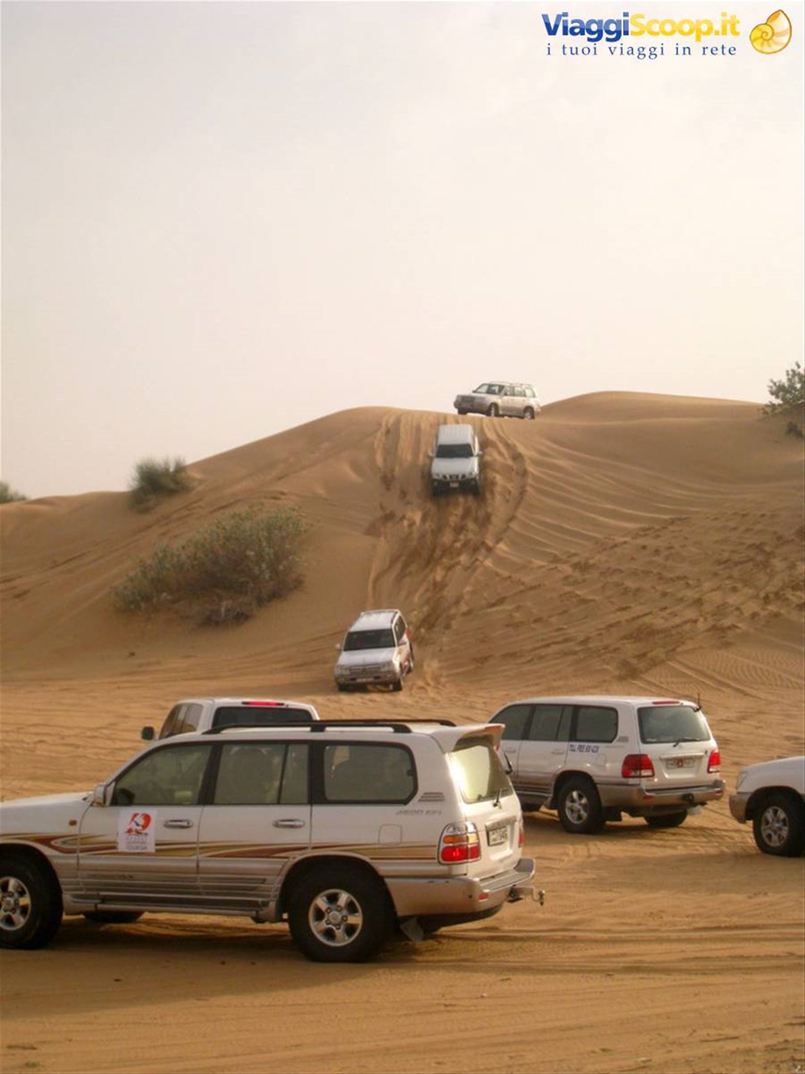 Safari Tour DESERT ADVENTURES TOURISM DUBAI