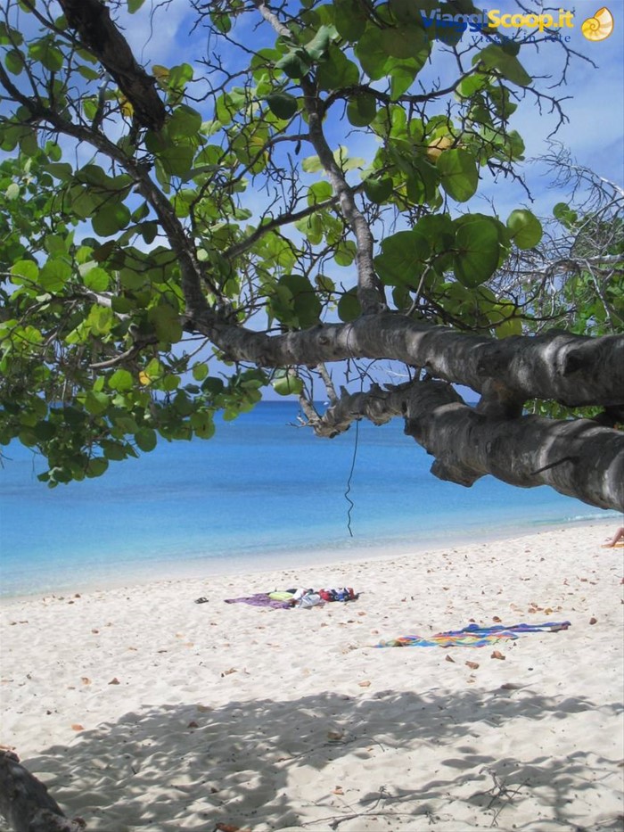 Cemetery Beach Grand Cayman