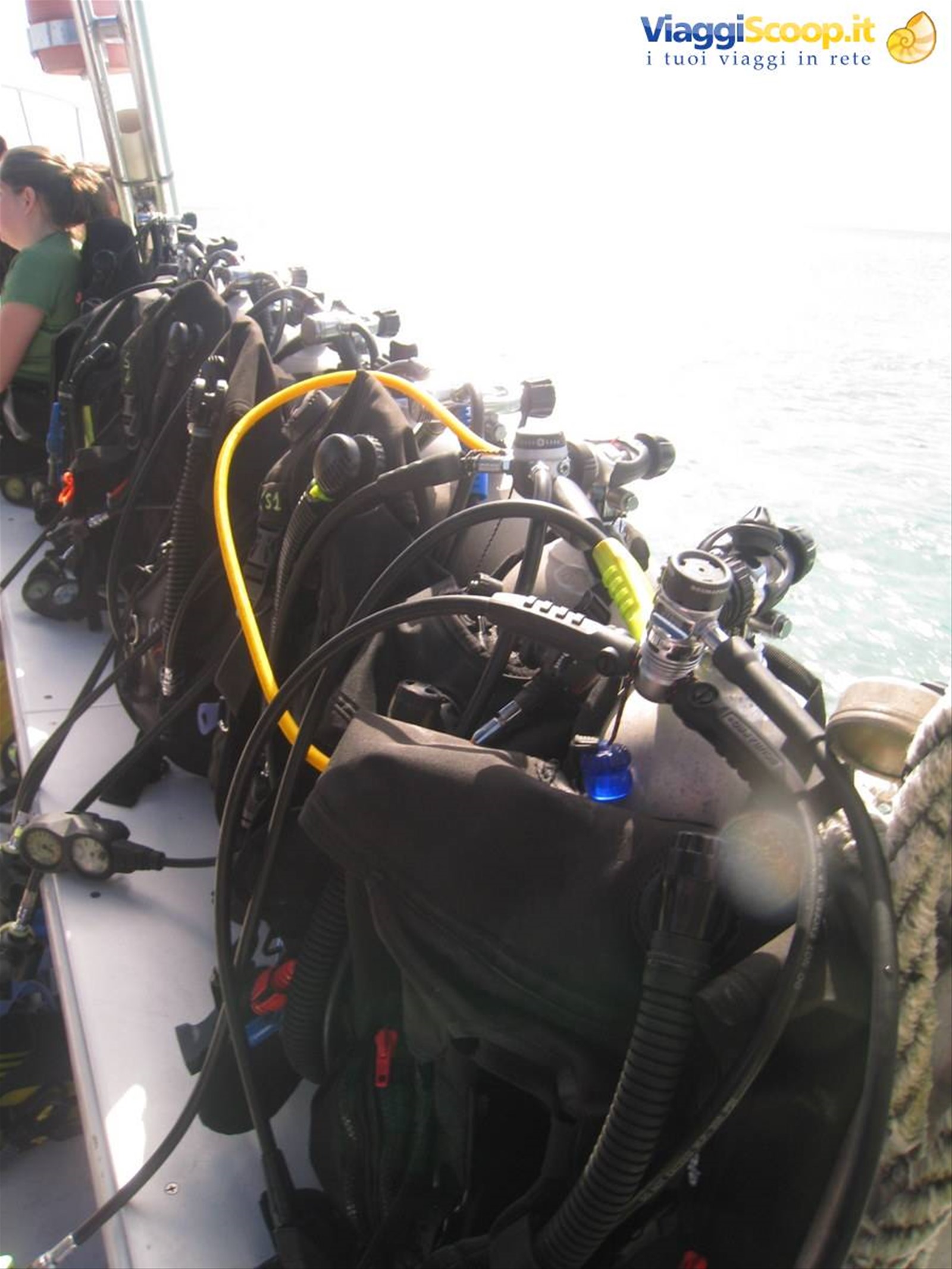 Foto di viaggio in ISOLE CAYMAN