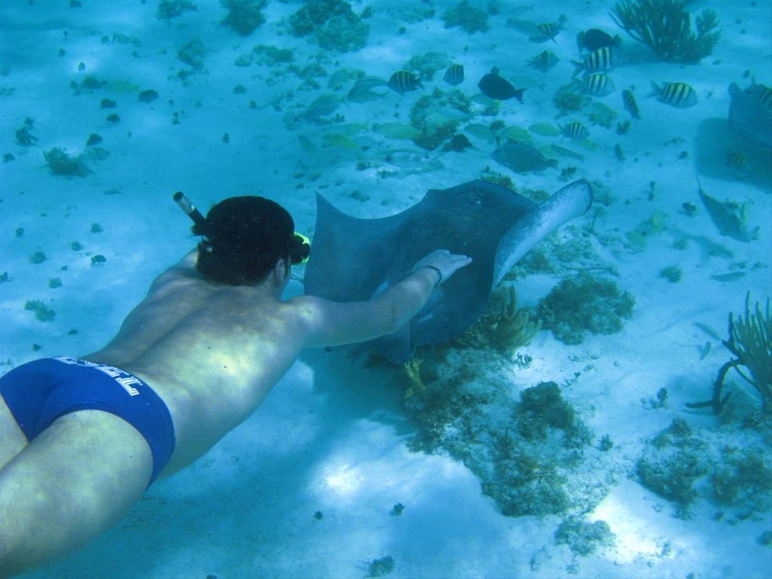 Barrier Reef