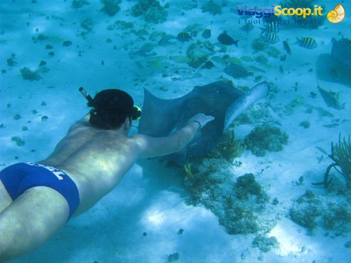 Barrier Reef
