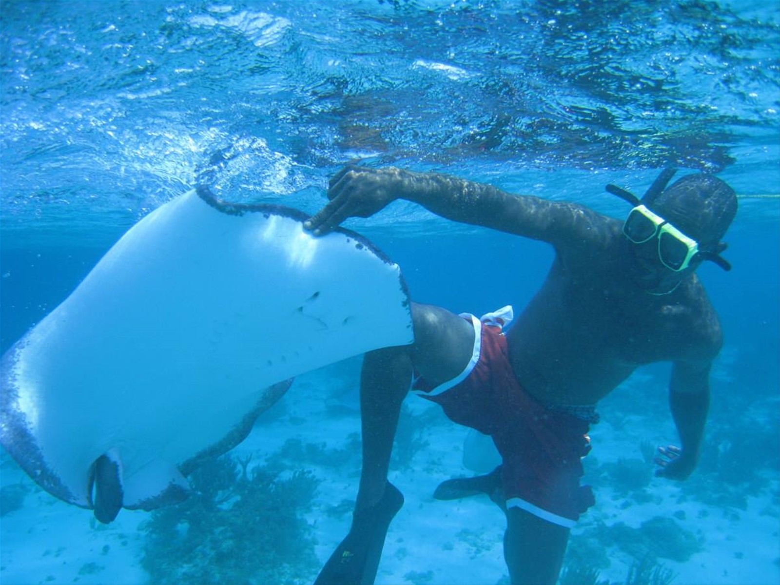 Foto di viaggio in ISOLE CAYMAN