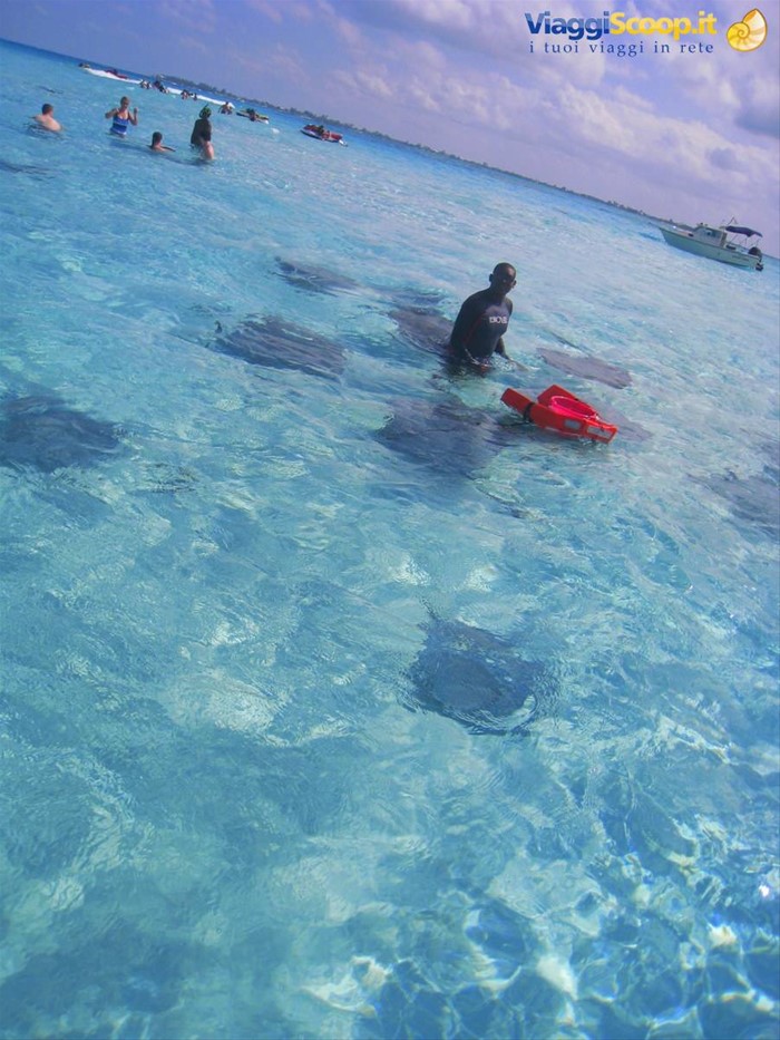 Stingray City