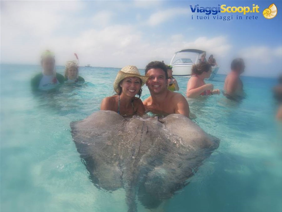 Stingray City