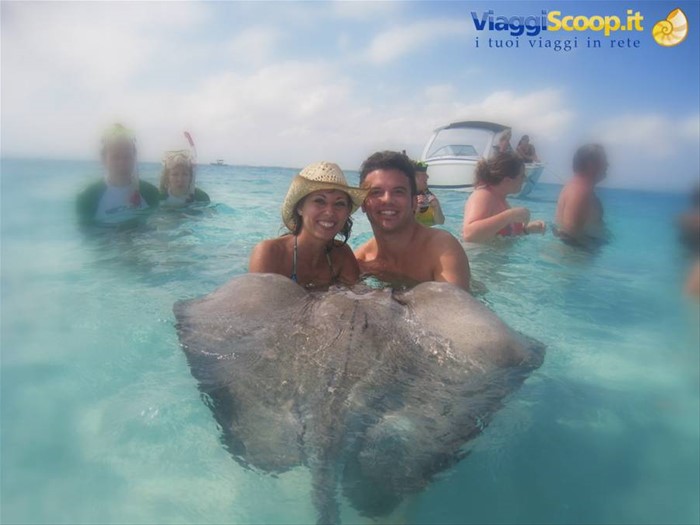 Stingray City