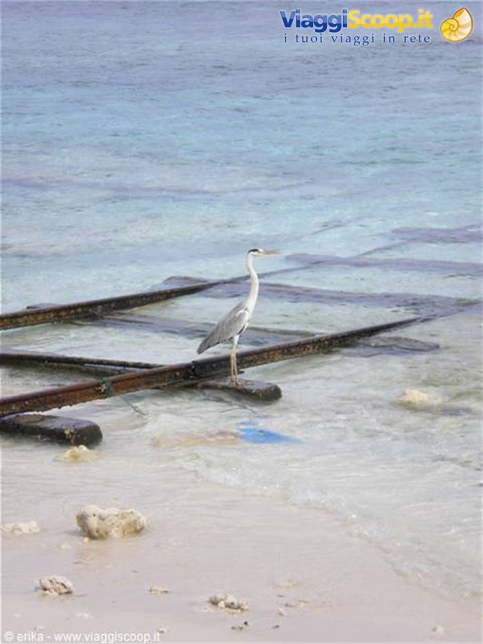 Foto di viaggio in MALDIVE