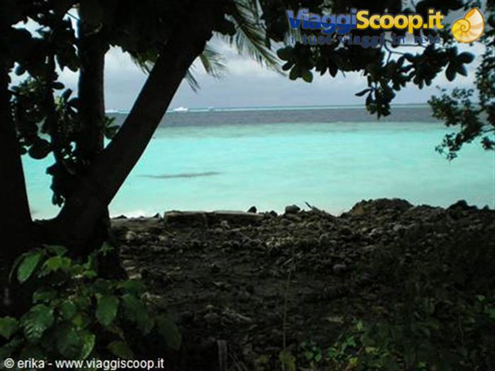 Foto di viaggio in MALDIVE