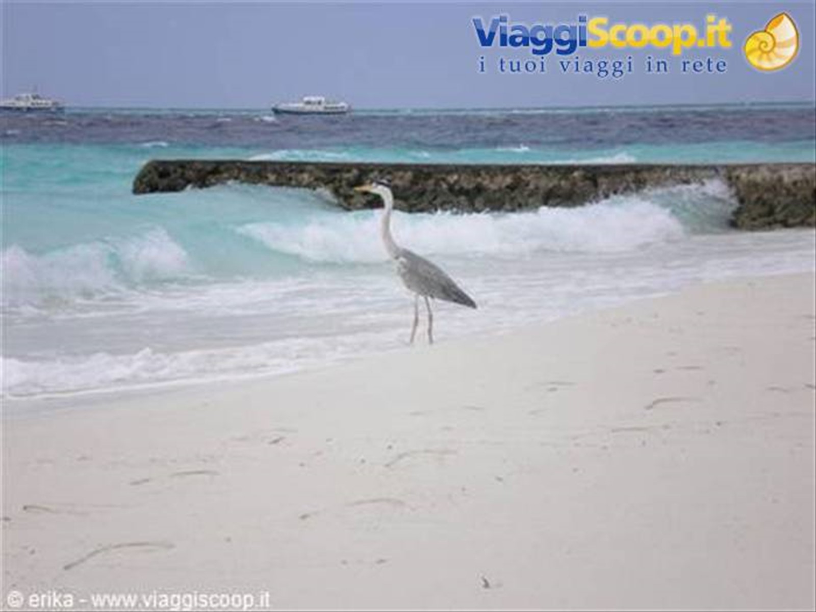 Foto di viaggio in MALDIVE