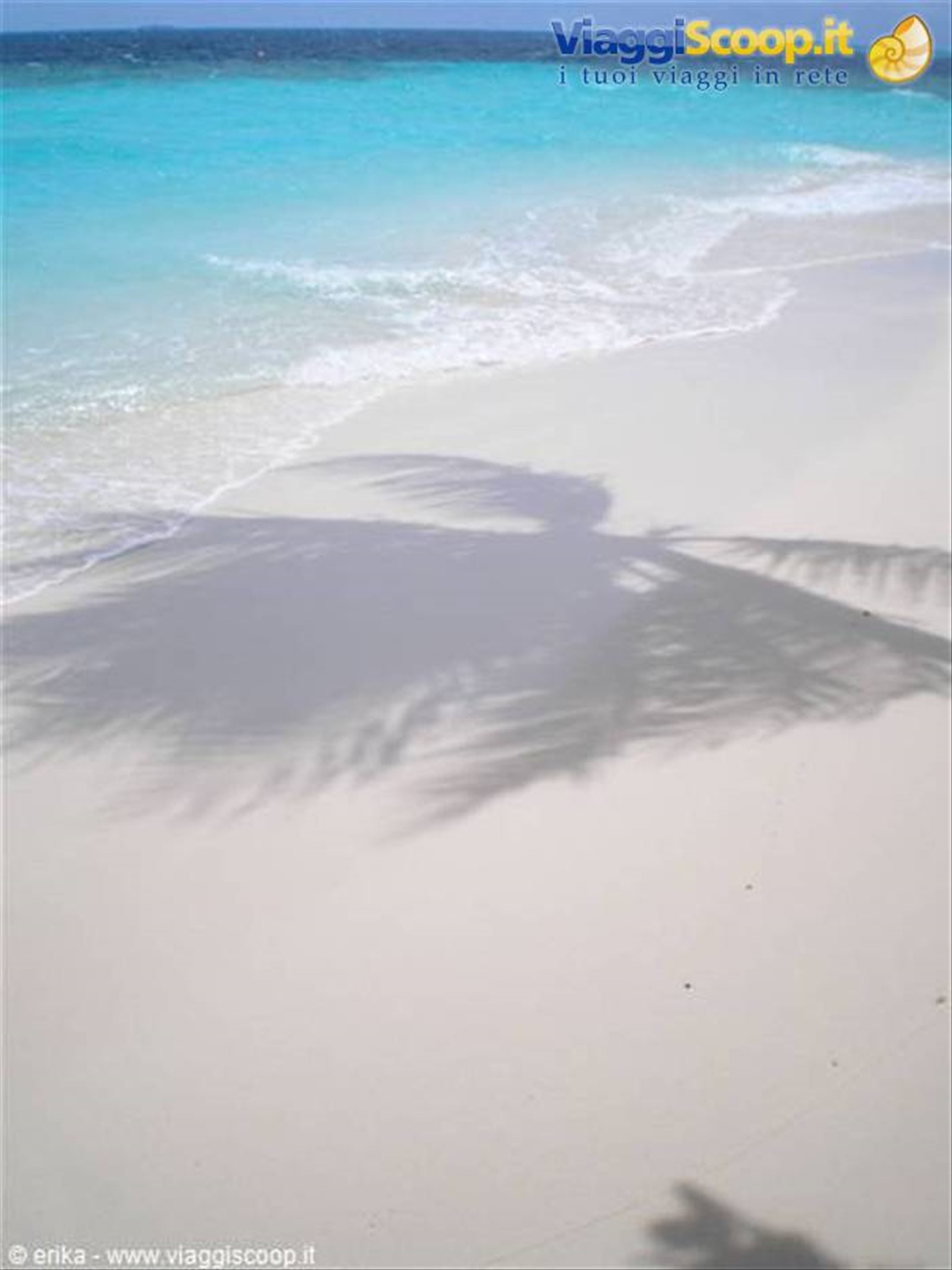 Foto di viaggio in MALDIVE