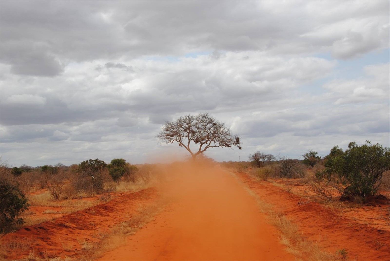 Tsavo