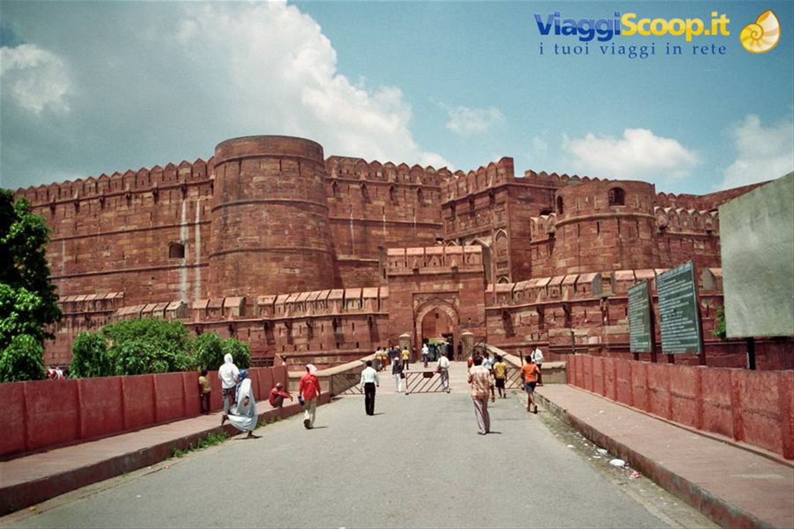 Foto di viaggio in INDIA