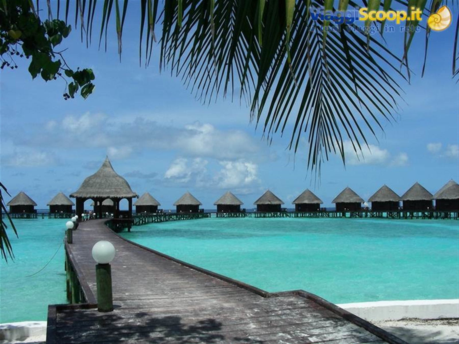 Foto di viaggio in MALDIVE