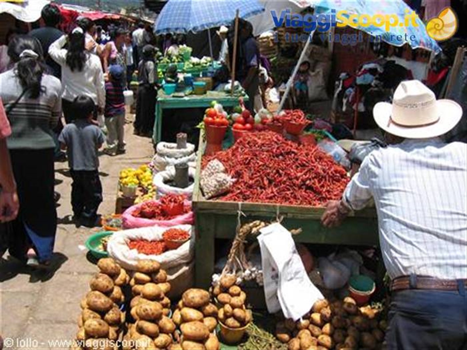 chiapas s. cristobal