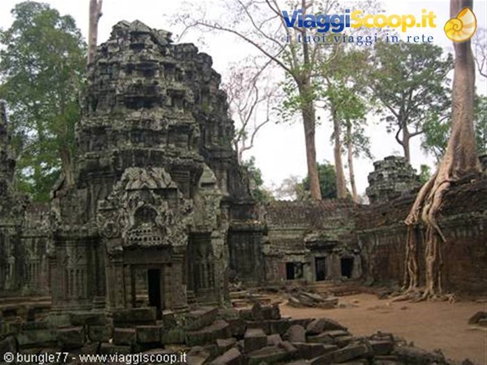 19 - Angkor - Ta Phrom 2