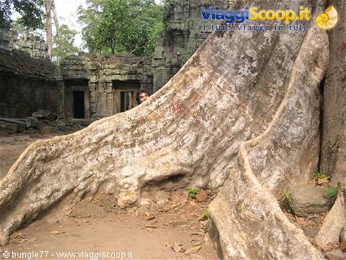 19 - Angkor - Ta Phrom - Io
