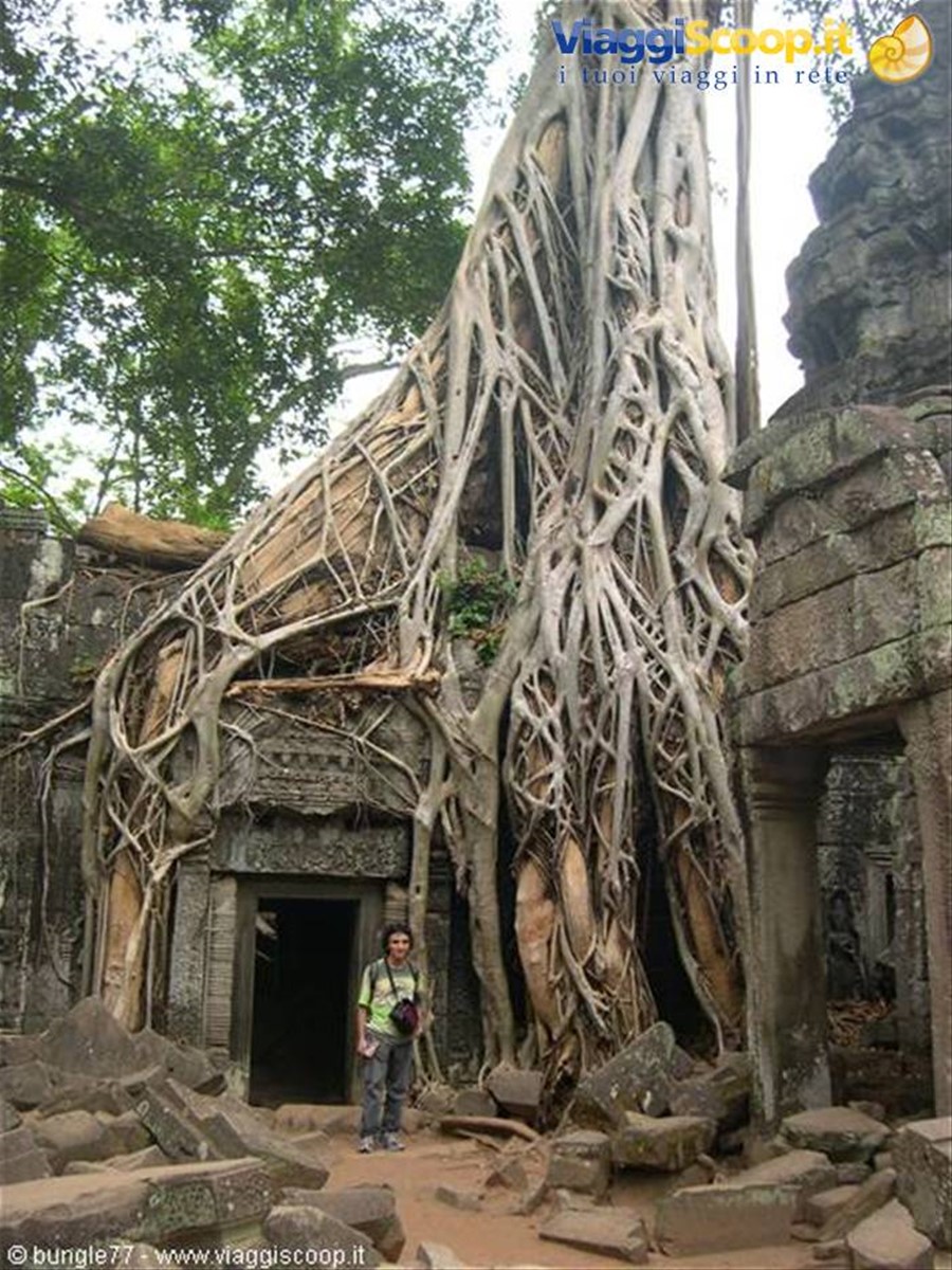 19 - Angkor - Ta Phrom - Porta