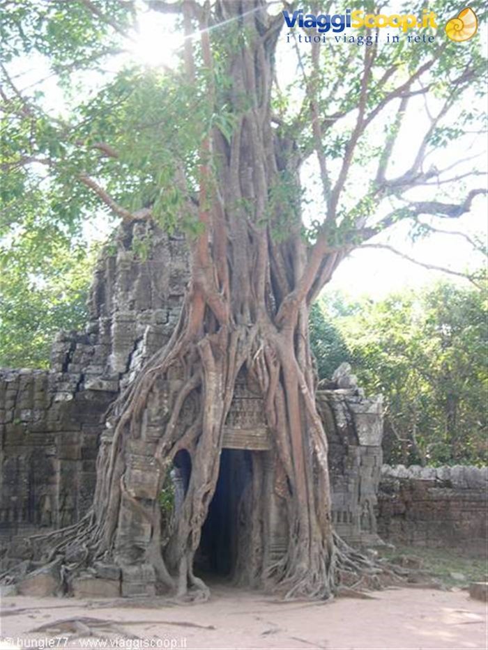 19 - Angkor - Ta Som