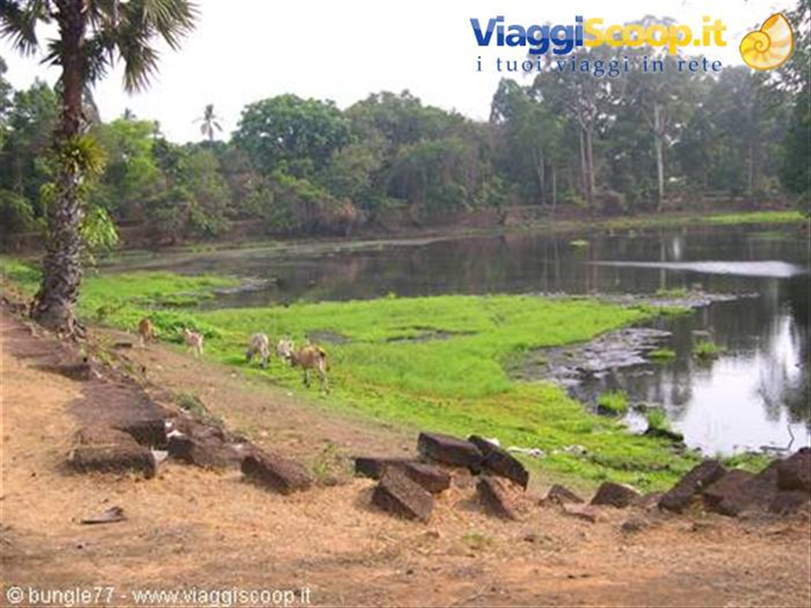 20 - Roulos - Bakong - Fossato