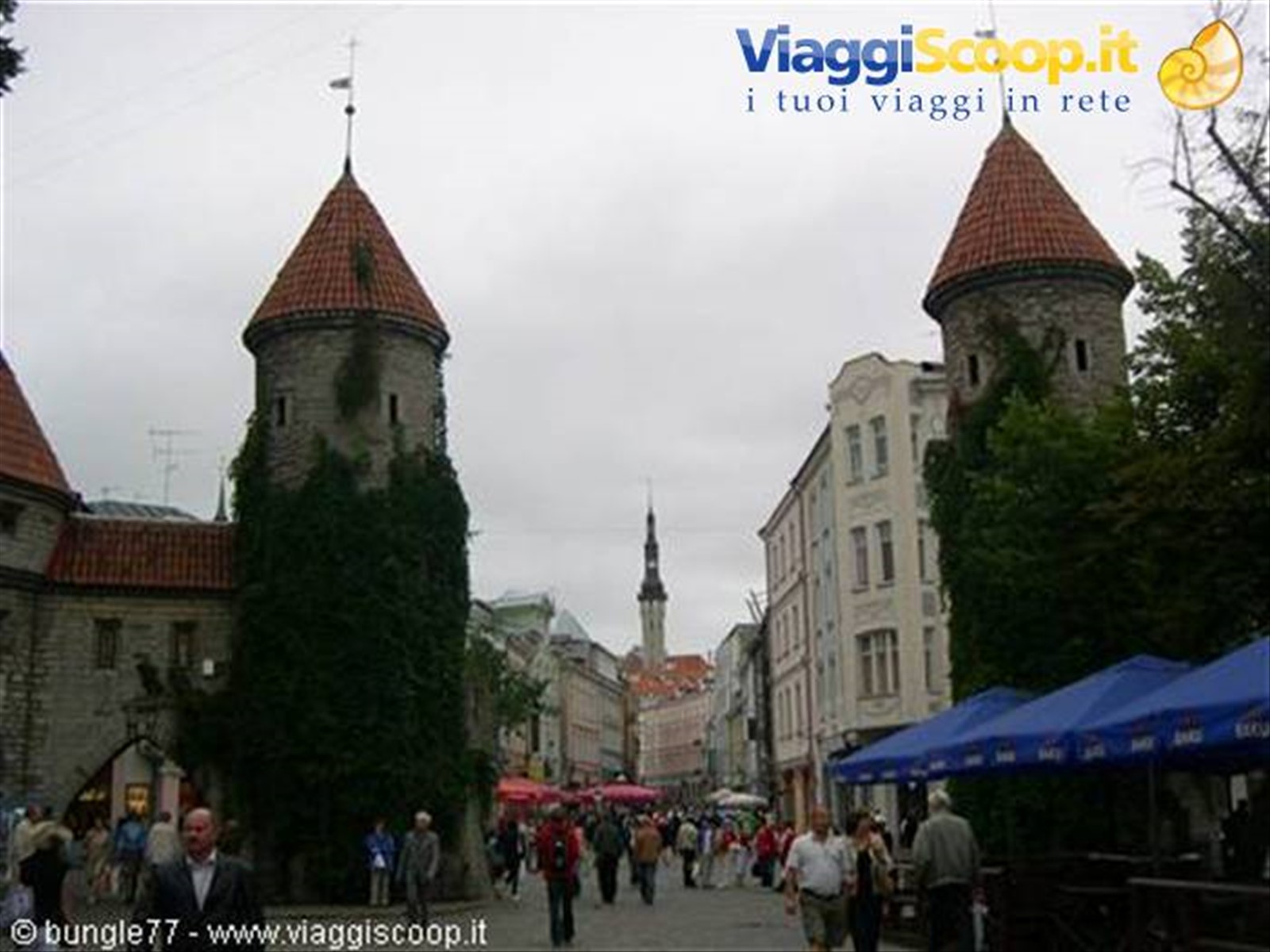 Foto di viaggio in ESTONIA