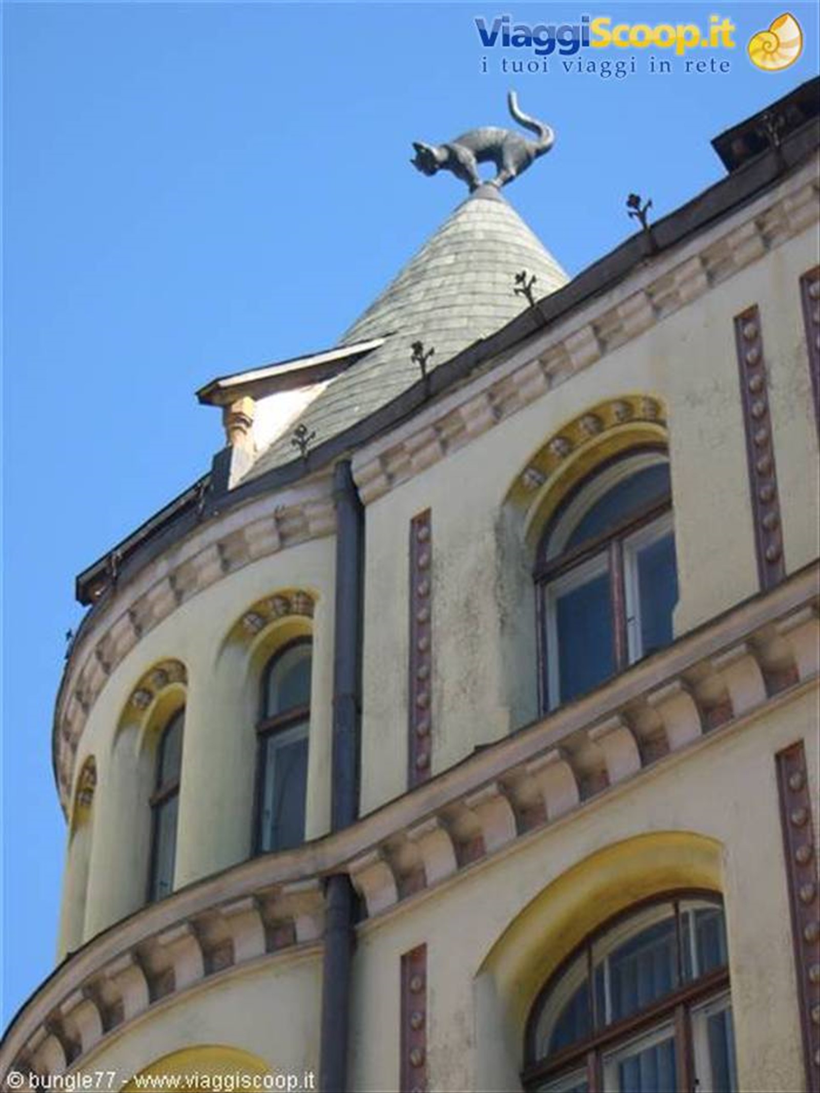 La casa del gatto