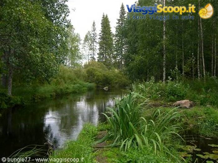 Foresta