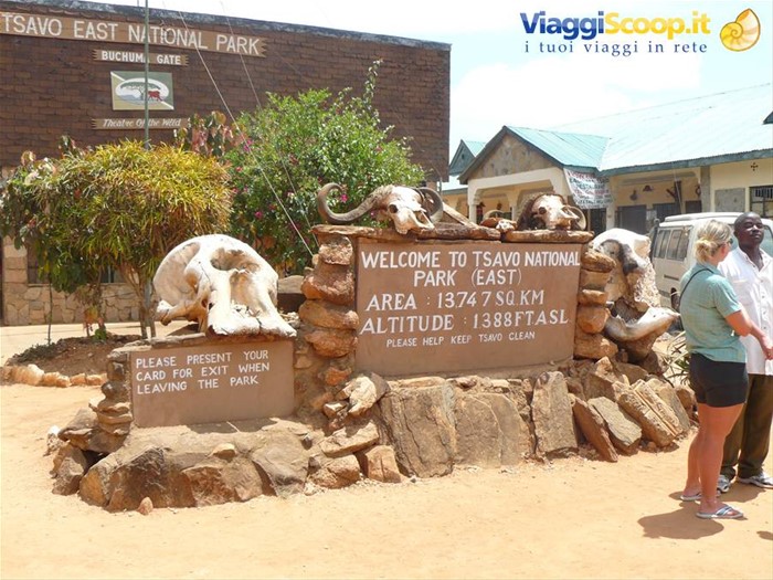 Safari Tsavo East