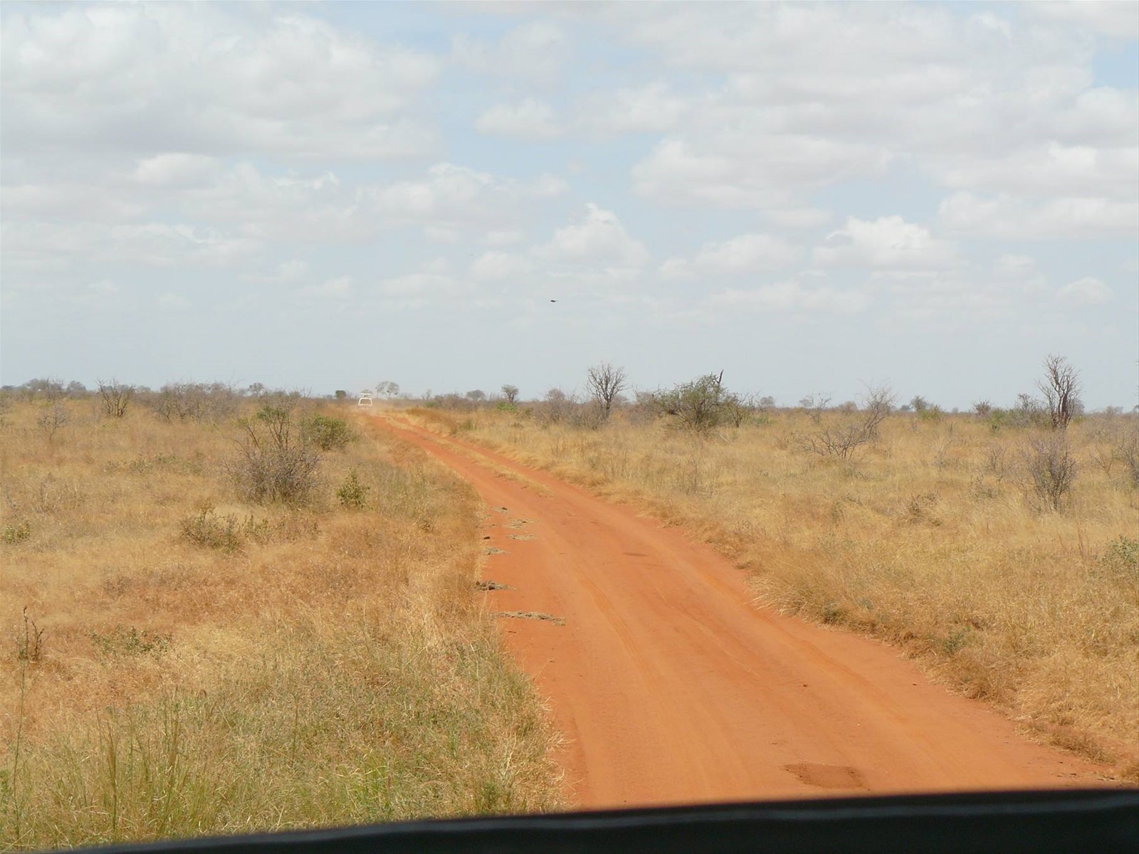 La terra rossa africana