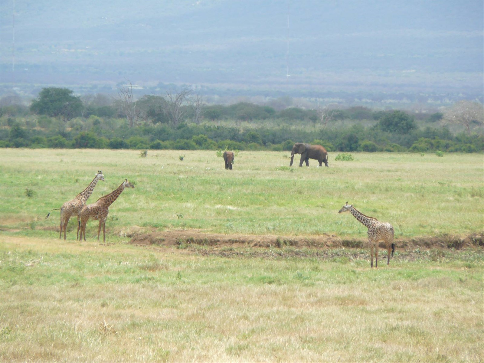 Foto di viaggio in KENYA