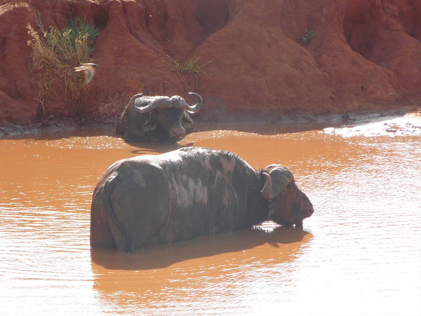 Foto di viaggio in KENYA