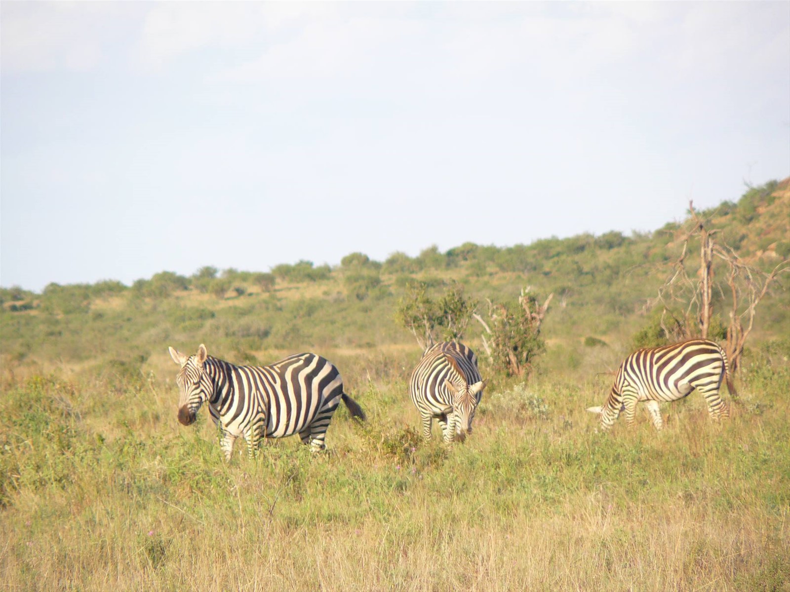 Foto di viaggio in KENYA