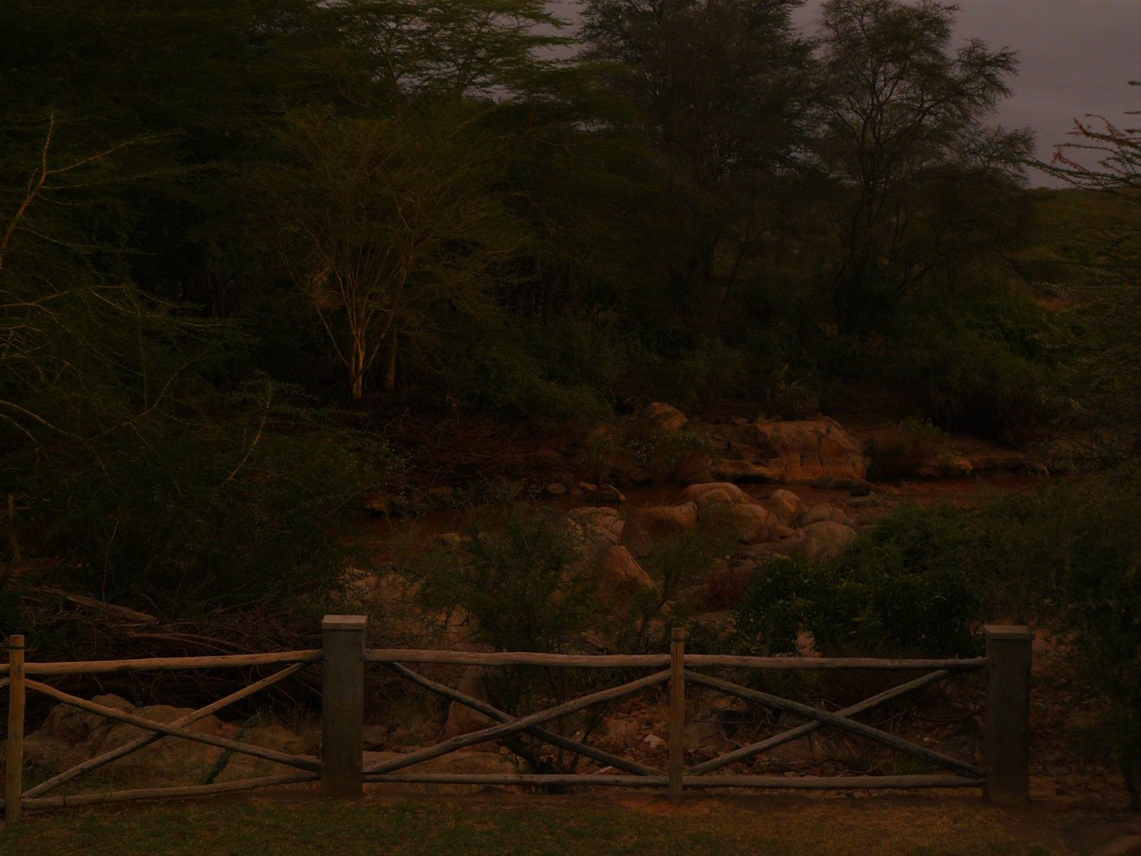 Foto di viaggio in KENYA