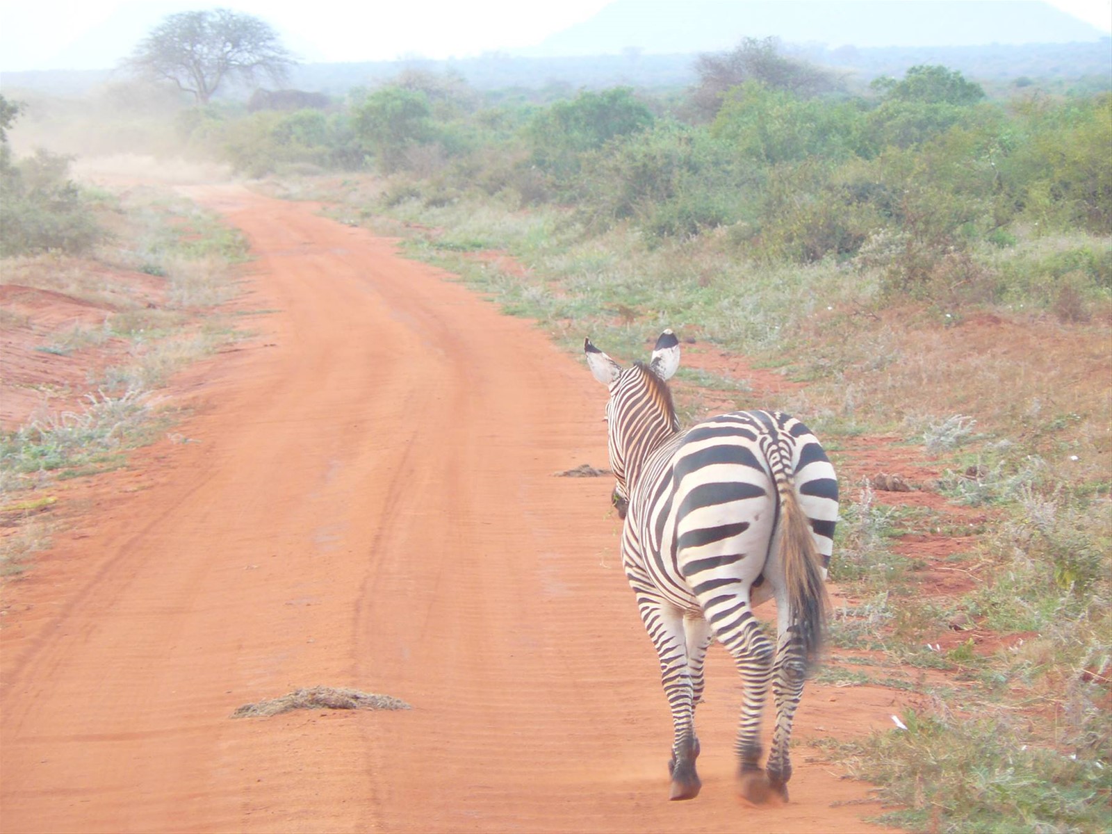 Foto di viaggio in KENYA
