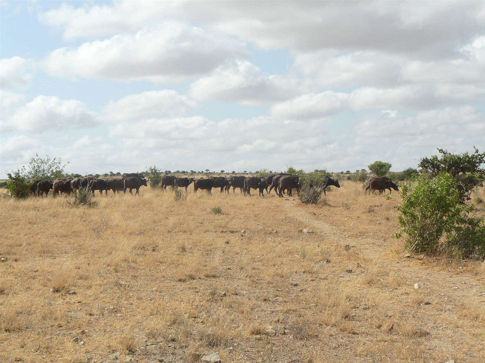 Foto di viaggio in KENYA
