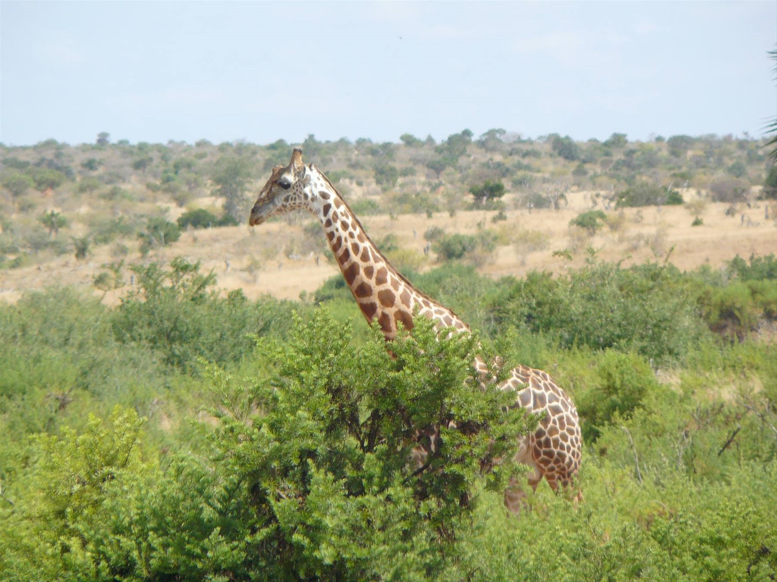 Foto di viaggio in KENYA