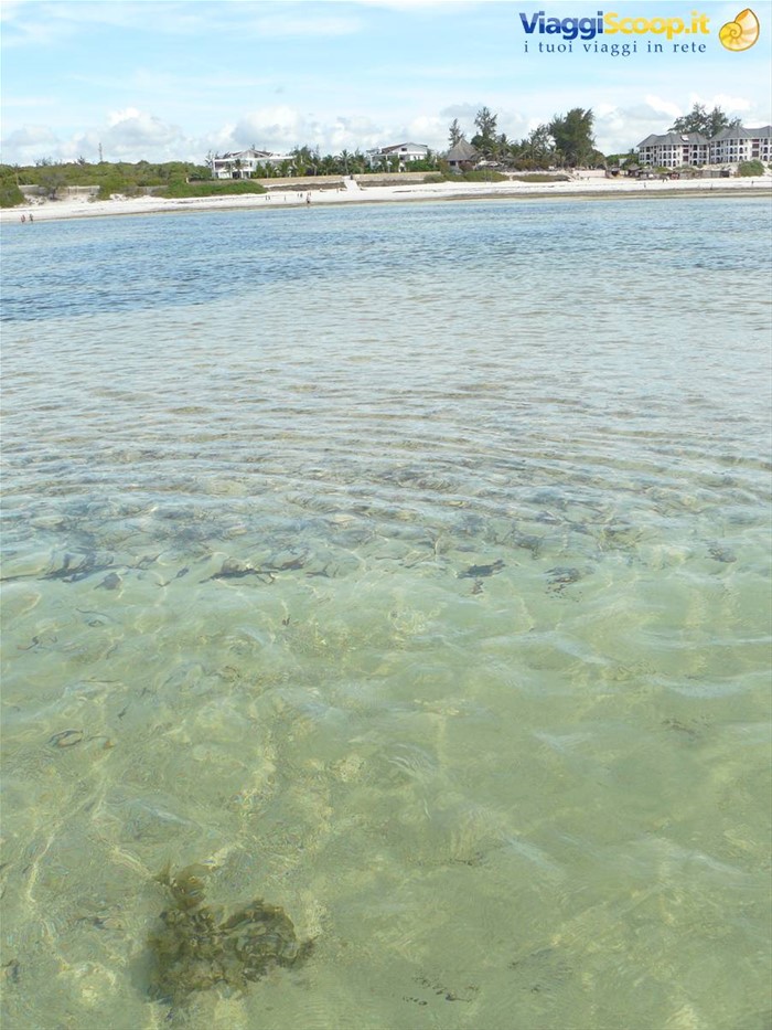 watamu