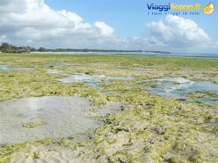 bassa marea a malindi