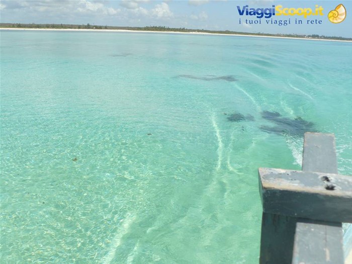 malindi verso le piscine naturali