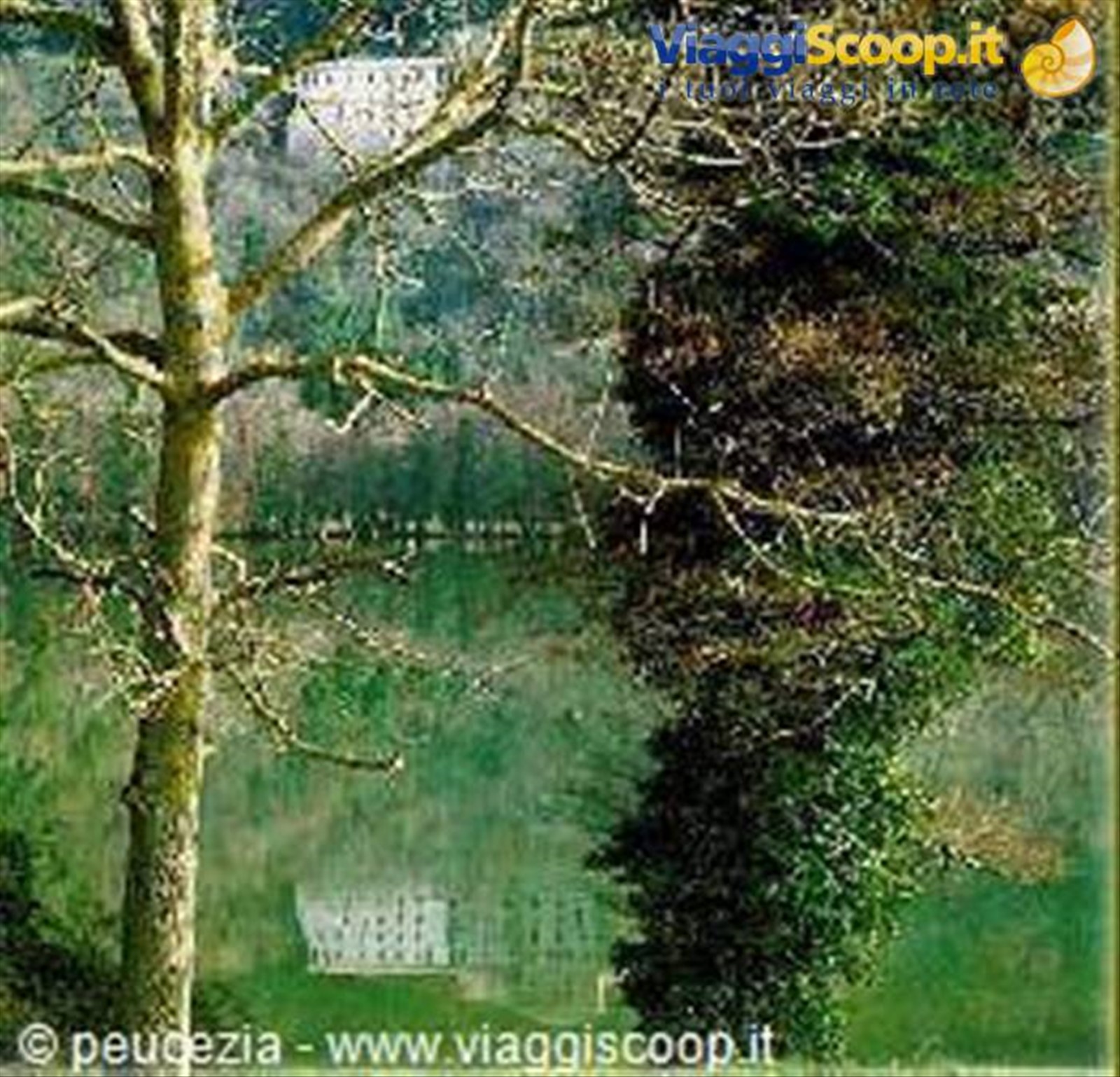 boschetto vicino al lago