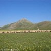 foto viaggio ITALIA