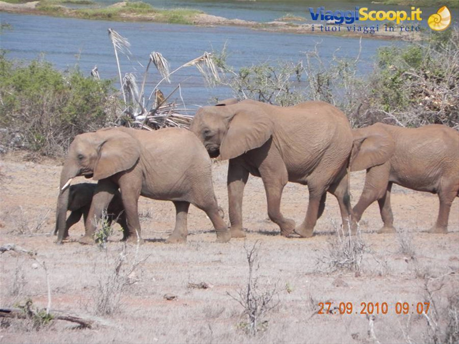 Safari Tsavo Est