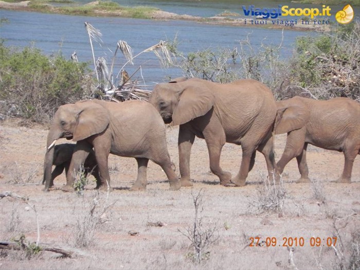 Safari Tsavo Est