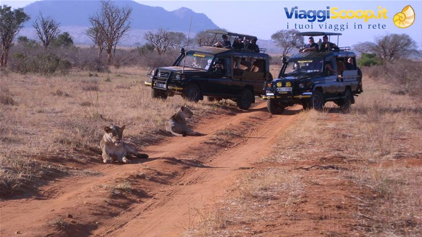 Foto di viaggio in KENYA