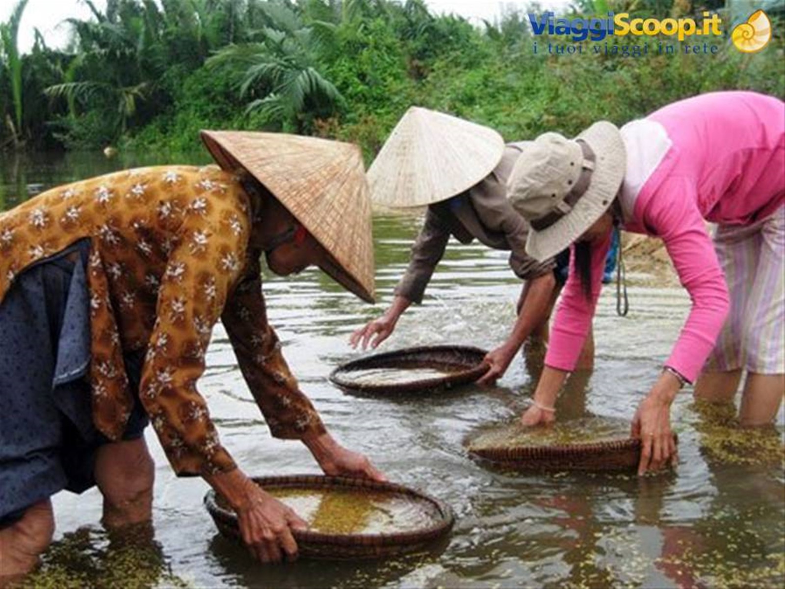 vietnam